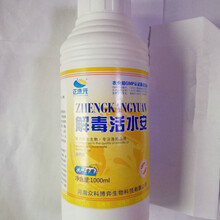 世连健康集团 引领食品销售新潮流，守护全民健康生活