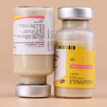 宠物药品与食品销售 市场现状与未来趋势