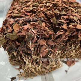 金线莲500药品批发指南 选购、优势与市场前景